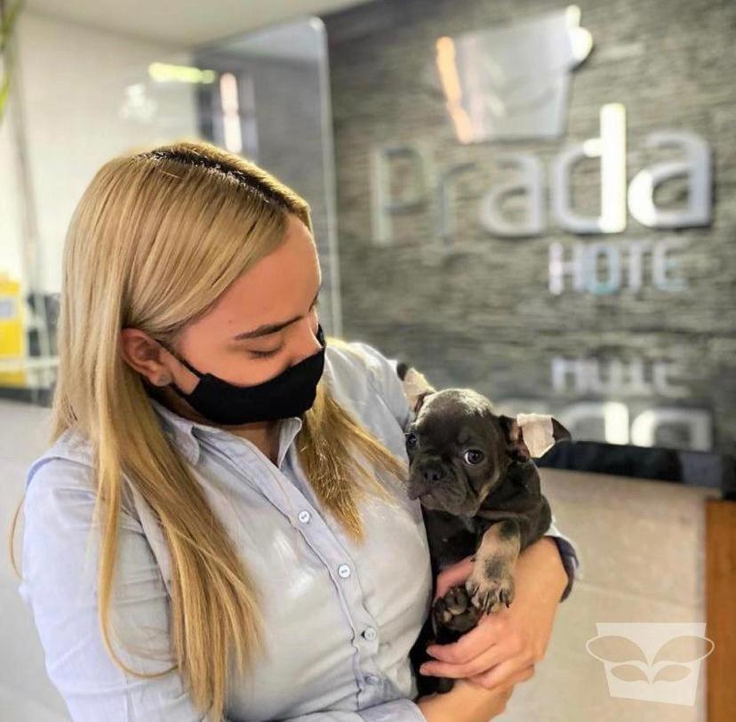 Hotel Prada Sas Bello Zewnętrze zdjęcie